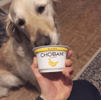 Screen Shot 2015-10-22 at 9.28.57 pm