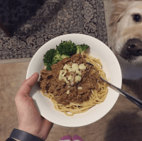 Screen Shot 2015-10-22 at 9.29.26 pm