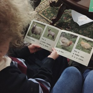 Processed with VSCOcam with f2 preset