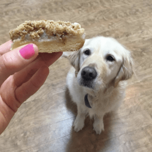 Screen Shot 2015-08-04 at 11.32.19 pm