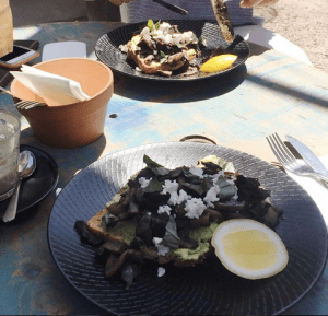 Screen Shot 2015-10-18 at 10.15.12 am